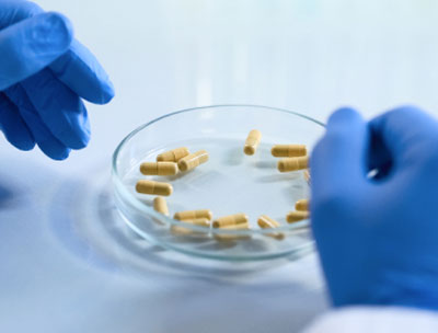powder-filled pills in petri dish