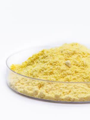 basic powder chemical in petri dish